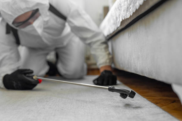 Professional Cockroach Control technician working in Greenacres, CA